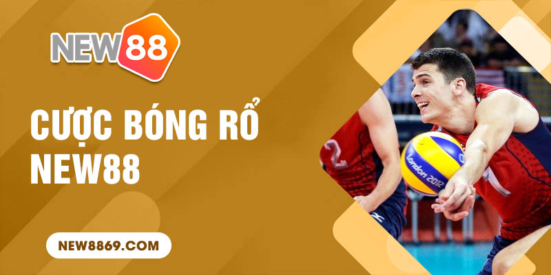 Chơi cá cược bóng rổ